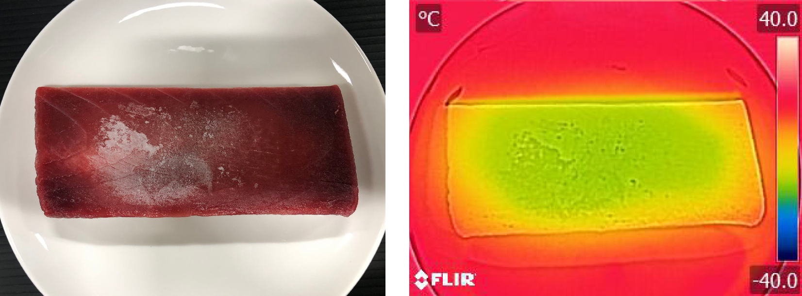 まぐろ解凍比較（シロカ）